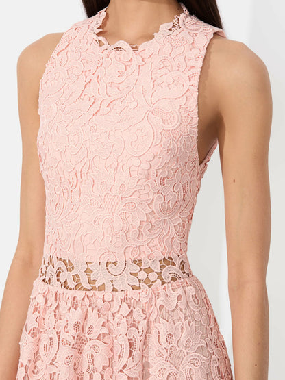Babette Midi Dress In Pink Bloom - Alice + Olivia Women