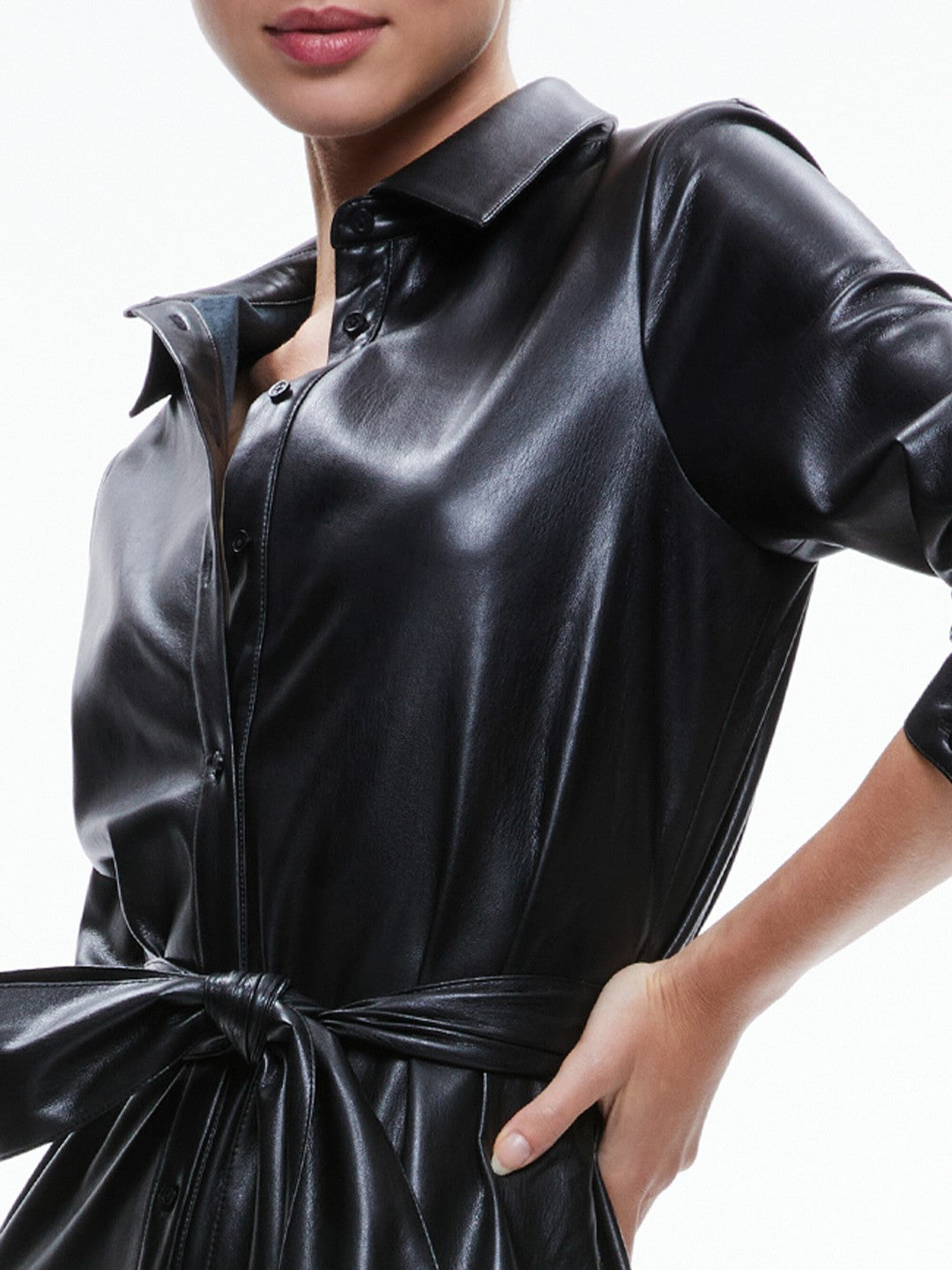 Chassidy Vegan Dress In Black - Alice + Olivia Women